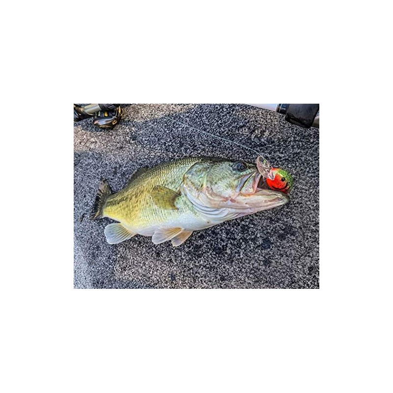 Bandit Crank 200-Series 2-Inch Mistake 4 to 8-Feet Deep Bait