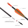 Carbon Arrow Hunting Arrows with 100 Grain Tip and Removable