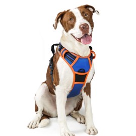 rabbitgoo Dog Harness Large Dog No Pull Pet Harness with 2 Leash Clips, Adjustable Soft Padded Pet Vest, Reflective No-Choke with Easy Control Handle for Training or Walking,Blue Orange, L