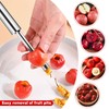 2 pieces apple corer apple cutter stainless steel apple core