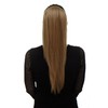 WIG ME UP - WK06-15 Hairpiece Voluminous Smooth Falling Ponytail