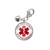Medical Alert Hypoglycemia .925 Sterling Silver Charm