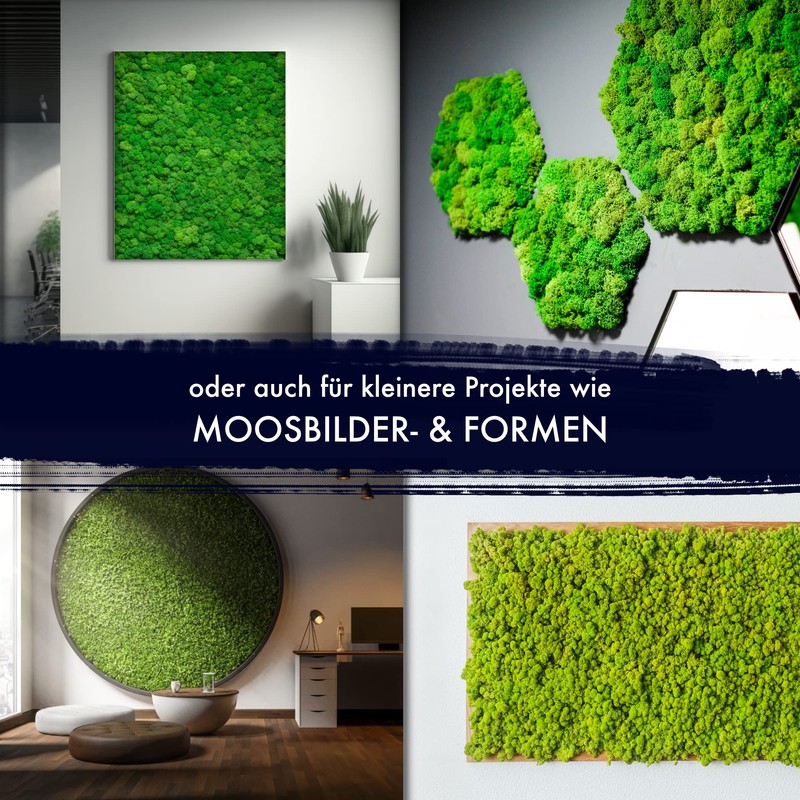 GJS Moss Picture - Moss Mat/Moss Sheet (25 x 25