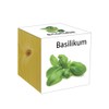 ecocube Wooden Cube Basil
