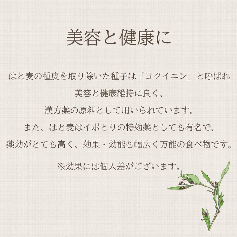 Domestic Roasted Spice Flour, 10.6 oz (300 g)