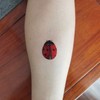 SanerLian Ladybug Temporary Tattoo Stickers Waterproof Insects Bee Cartoon Hand