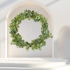 DearHouse Artificial Eucalyptus Wreath Set, 4 Pieces, 1.8 m Vine