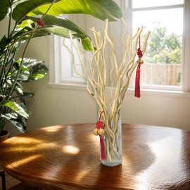 15Pcs Dried Birch Twigs - 17” Decorative 100% Natural Birch Branches for Vases, Curly Willow Branches, DIY, Floral Arrangement, Twig Wreath, Rustic Home Decor