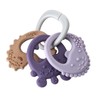B.Box Trio Teether - Peony