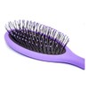 Water Brush Cepillo para Cabello con Cerdas Extra Resistentes, Morado