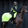 Masta High Viz Mesh Wrap Around Horse Exercise Sheet Yellow