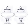 CYS EXCEL 10" Glass Apothecary Jars (Pack of 2) |