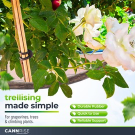 Cannrise Anchor Rubber Bands for Trellising – 30 Pack of 12 cm/4.72 inches Rubber Bands for Outdoor Plant Support, Climbing Plants, Grape Vines, Trees – UV-Protected, Elastic, Multi-Purpose Use