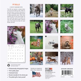 RED EMBER Pit Bulls 2025 Wall Calendar 12 Month | 12" x 24" Open | Thick & Sturdy Paper | Giftable | Calendar 2025