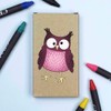 Azeeda 'Goofy Owl' Coloured Crayon Set (CY00033978)