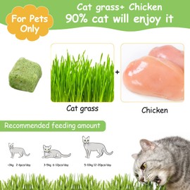 HavenJanny 120g Cat Grass Treats for Indoor Cats, Freezed Dried Cat Grass Teething Stick Snacks for Cats, Edible Feline Chew Toys for Hairball Control and Oral Health