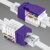 Everest Media Solutions 45° Angled CAT6 Keystone Jack in Purple