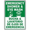 The Sign Studio - 10” x 14” - “Emergency Shower