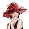 2025 Kentucky Derby Hats for Women Girls Ladies, Organza Church