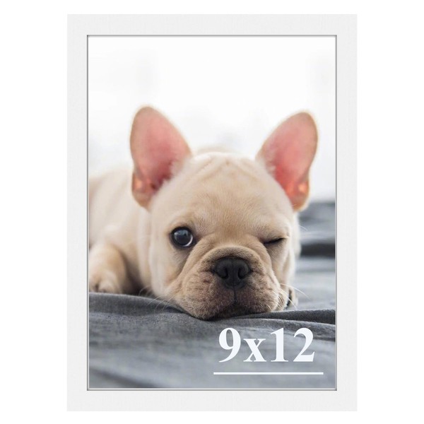 RUN HELIX 9x12 Picture Frames,Simple Designed Photo Frame,Certificate Document Frame