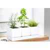 D'vine Dev Herb Garden Planter Set, Plastic Plant Pots with