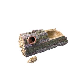 Komodo Forest Dual Feeder