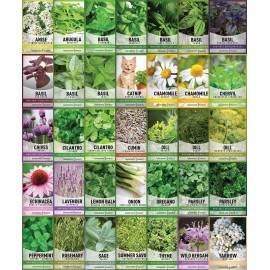 Gardeners Basics 35 Medicinal & Culinary Herb Seeds Variety Pack – Heirloom Non-GMO Brown
