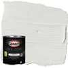 Glidden Interior Paint + Primer: White/Tundra Frost, One Coat, Flat,