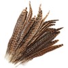 MWOOT Pack of 20 Pheasant Feathers, 25-30 cm / 10-12