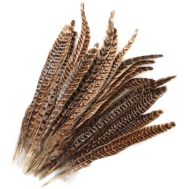 MWOOT Pack of 20 Pheasant Feathers, 25-30 cm / 10-12 Inch Length, Pheasant Tail Feathers, Hat Feather, Natural Craft Feather