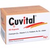 Cuvital Pack of 60
