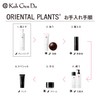 Koh Gen Do Kangwondo Oriental Plants Moist Cleansing Cream, 4.2