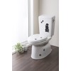 Sanko KP-07 KP-07 Deodorizing Toilet Sheet, Stick and Remove, Can