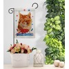 Breeze Decor Patriotic Ginger Garden Flag Set Mailbox Hanger Cat