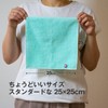 Imabari Towel Handkerchief, Thick, 9.8 inches (25 cm), Water Absorption,