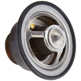 Mishimoto MMTS-RAM-99L Silver Low-Temperature Thermostat