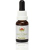 ABFE Red Lily 15ml