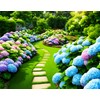 50 Pcs Mixed Blue Hydrangea Seeds Giant Snowball Hydrangea Non