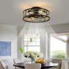 HUEOCZW 20" Caged Ceiling Fan with Light and Remote，bladeless Ceiling