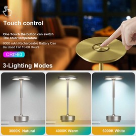 ZTFLOS LED Cordless Table Lights Set of 2, Rechargeable Outdoor Waterproof Portable Touch Battery Table Lamps, Built-in 5000mAh,Battery for Patio/Campsite/Work（Silver ）