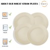 Wrova Wheat Straw Dinner Plates 10 Inch Unbreakable Set of