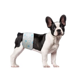 ScratchMe Disposable Male Dog Diaper, Super Absorbent and Leak-Proof Fit, Excitable Urination or Incontinence, 40 Count, Extra Large