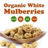 Food to Live Organic Dried White Mulberries, 1 Pound -