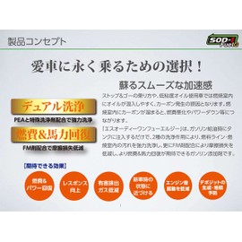 D1 Chemical SOD-1 FuelG Gasoline Fuel Additive, 5.1 fl oz (150 ml)