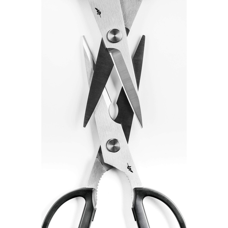 Kai Europe 83BK-0202 Michel Bras Kitchen Scissors, steel/plastic, 20.3 x