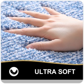 Kitinjoy Bath mat, Extra Soft and Absorbent Microfiber Bathroom Mat, Non-Slip, Machine Washable, Quick Dry Shaggy Bath Rug, Suitable for Bathroom Floor, Tub, Shower (Blue and White, 30 x 20 Inches)