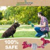 Greenbone Wonderpet! Pull n Play Tennis Ball Toys - Small