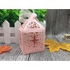 Musuntas 50-Piece Birdcage Design Wedding Christening Guest Gift Box Cardboard