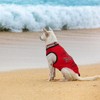 Saintrygo 8 Pieces Dog Shirts Pet Printed Clothes with Funny