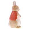 Beatrix Potter Flopsy Money Bank, One Size